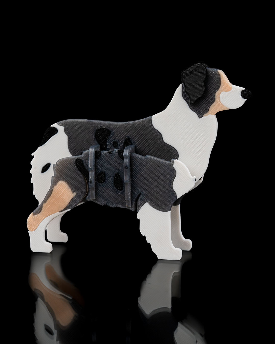 Australian Shepherd Model Card Kit