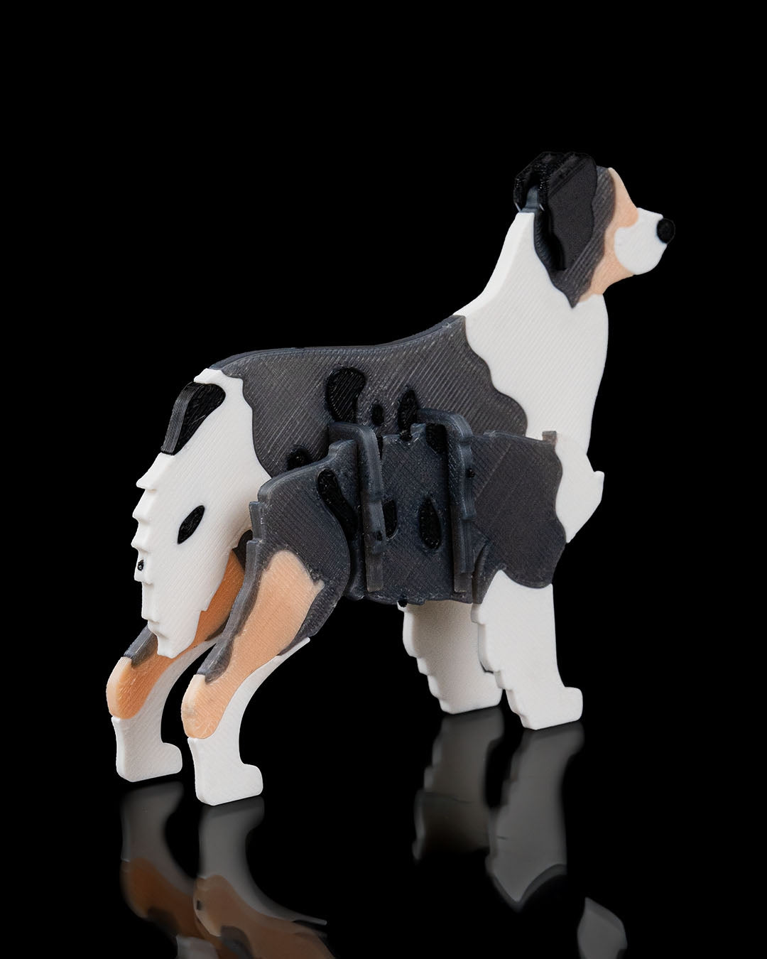 Australian Shepherd Model Card Kit