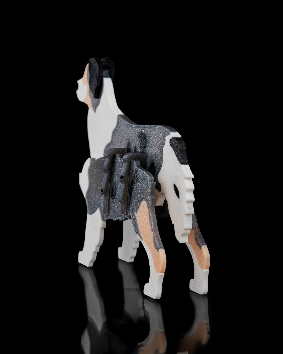 Australian Shepherd Model Card Kit