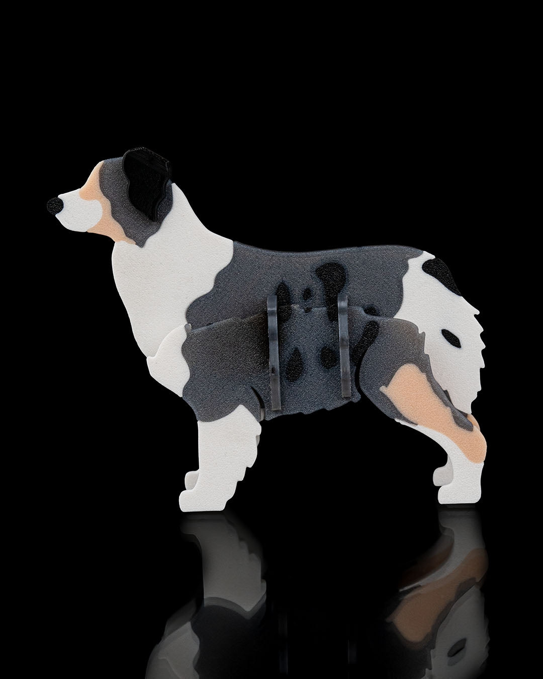 Australian Shepherd Model Card Kit