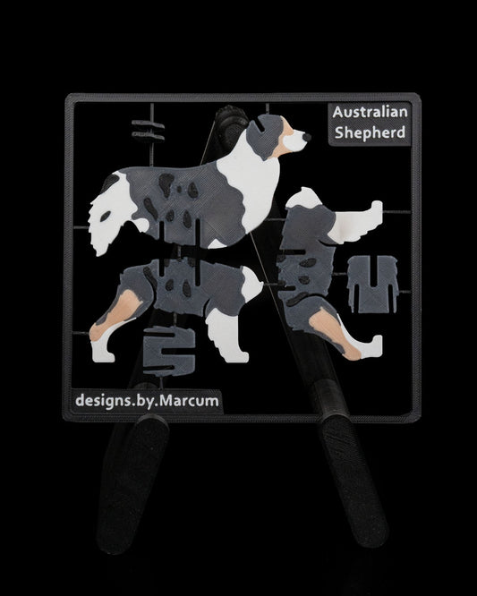 Australian Shepherd Model Card Kit