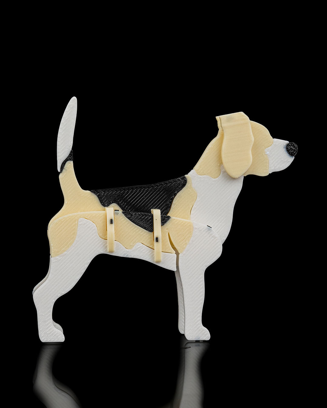 Beagle Model Card Kit