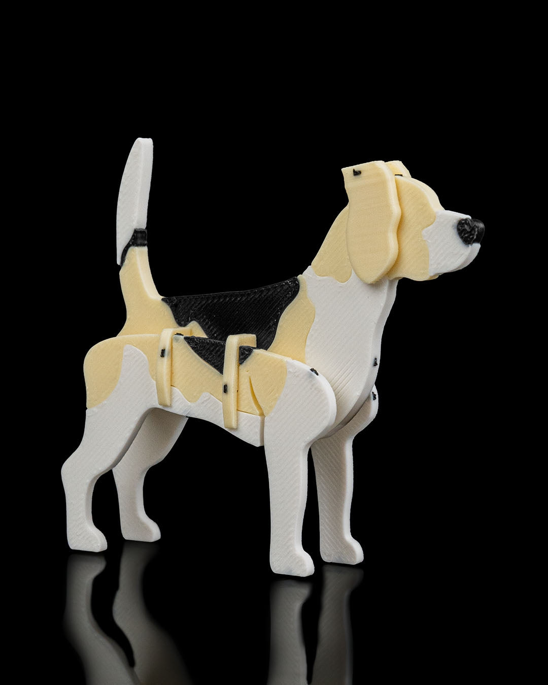 Beagle Model Card Kit