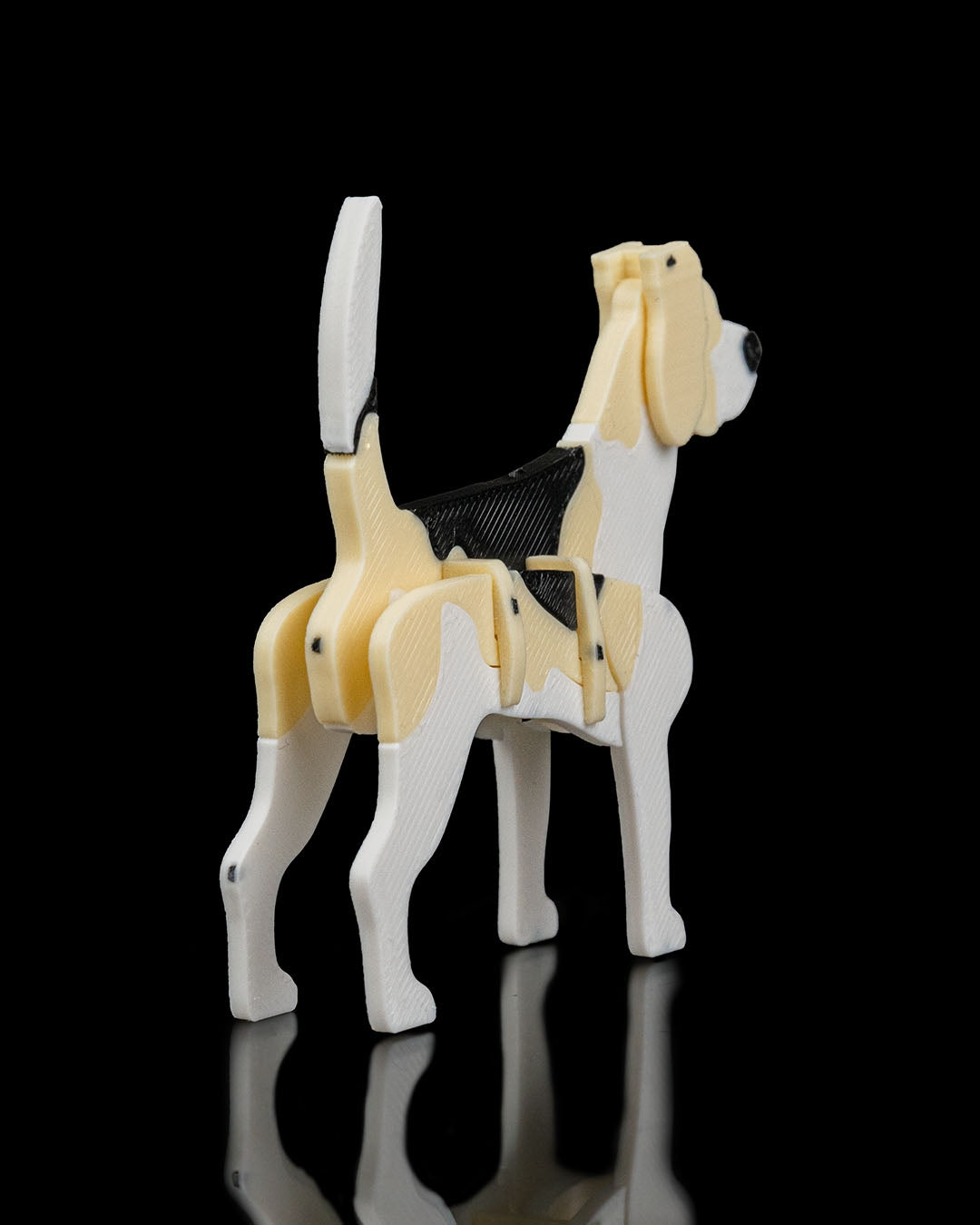 Beagle Model Card Kit