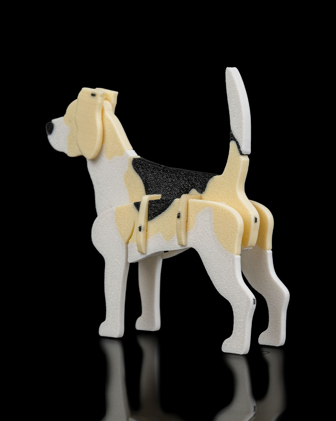 Beagle Model Card Kit