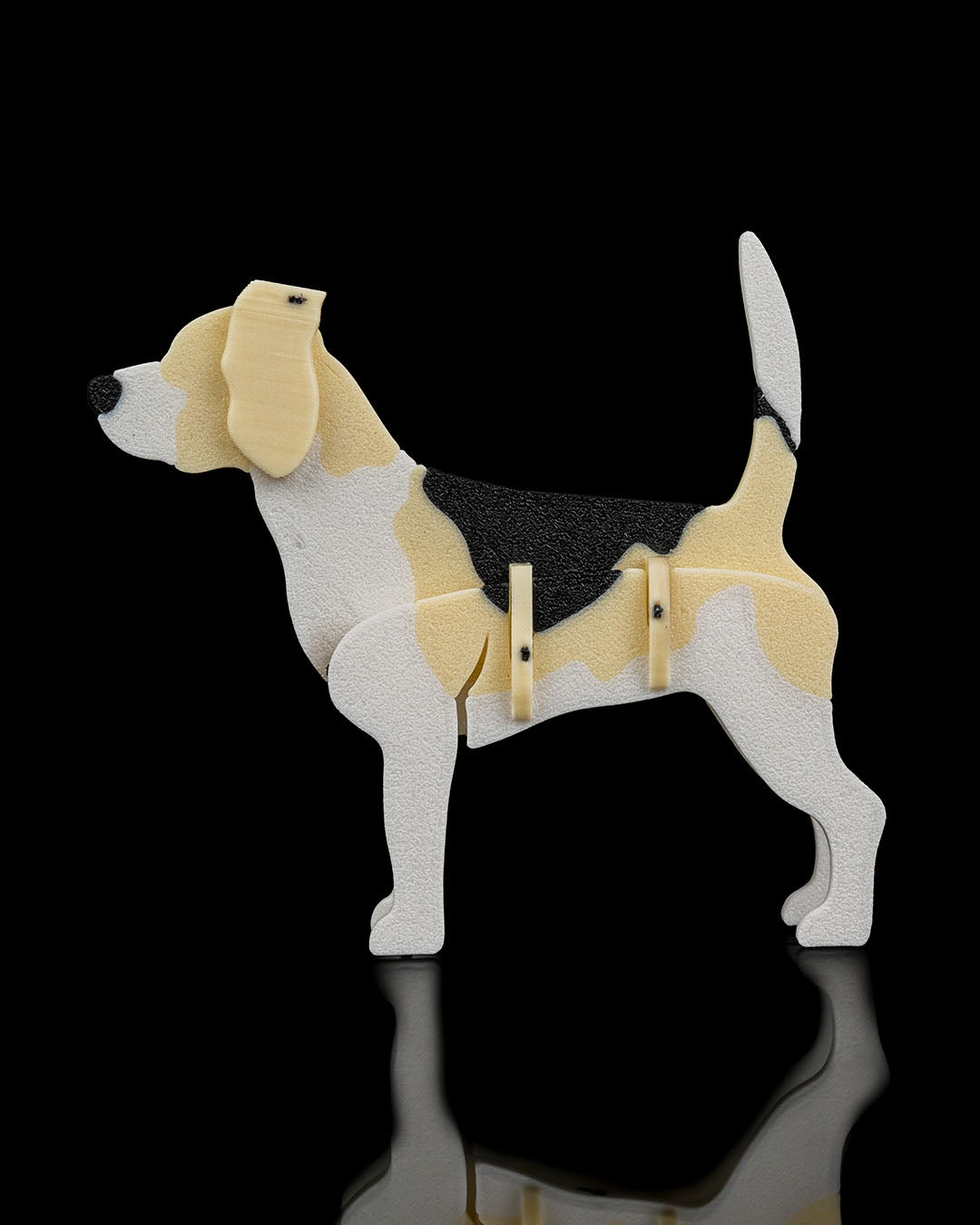 Beagle Model Card Kit