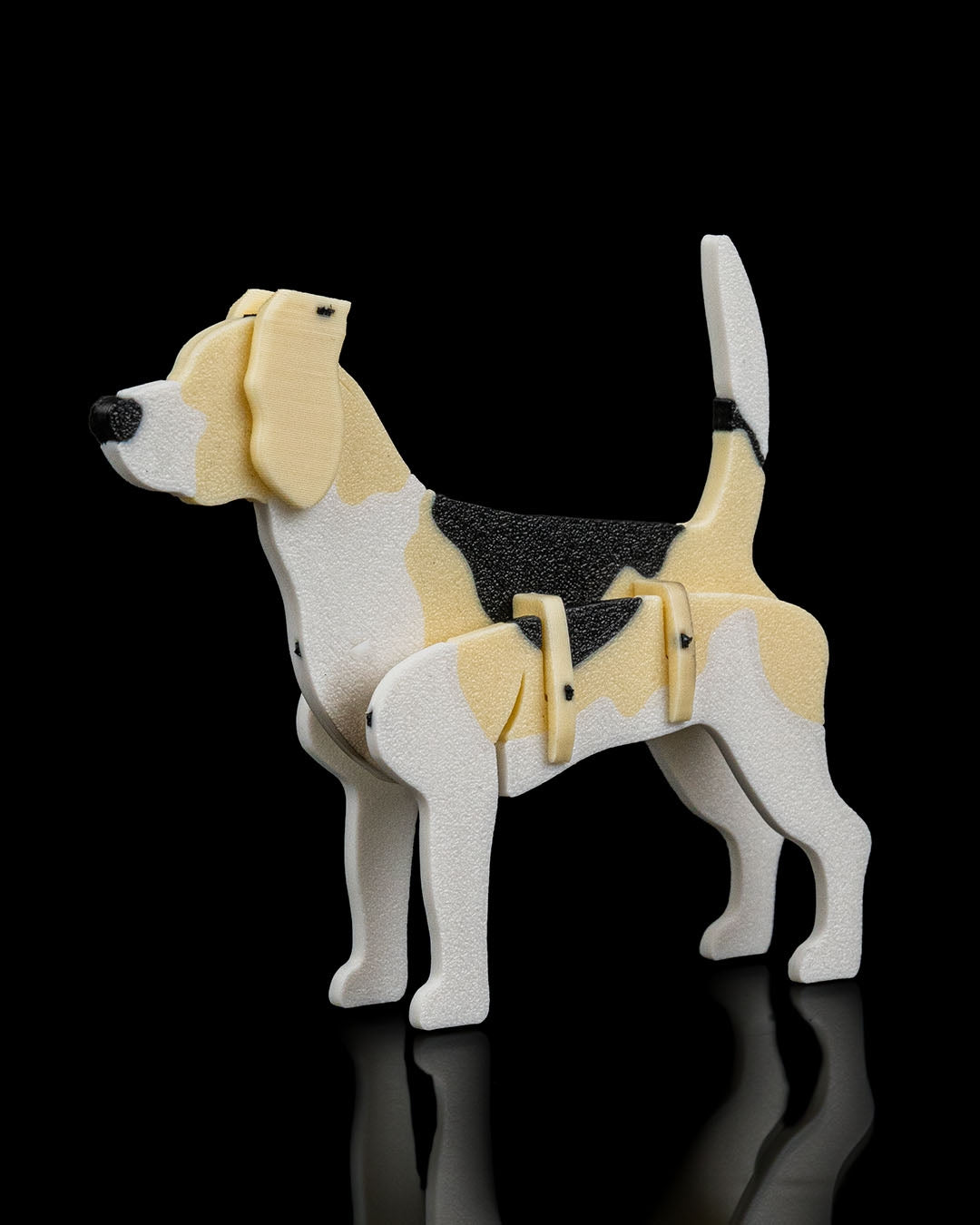 Beagle Model Card Kit