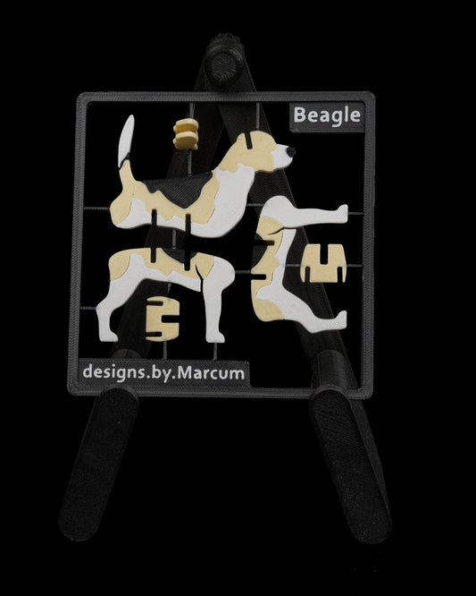 Beagle Model Card Kit