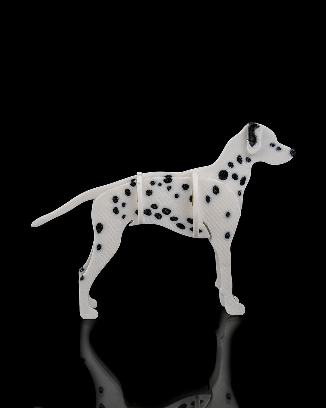 Dalmatian Model Card Kit