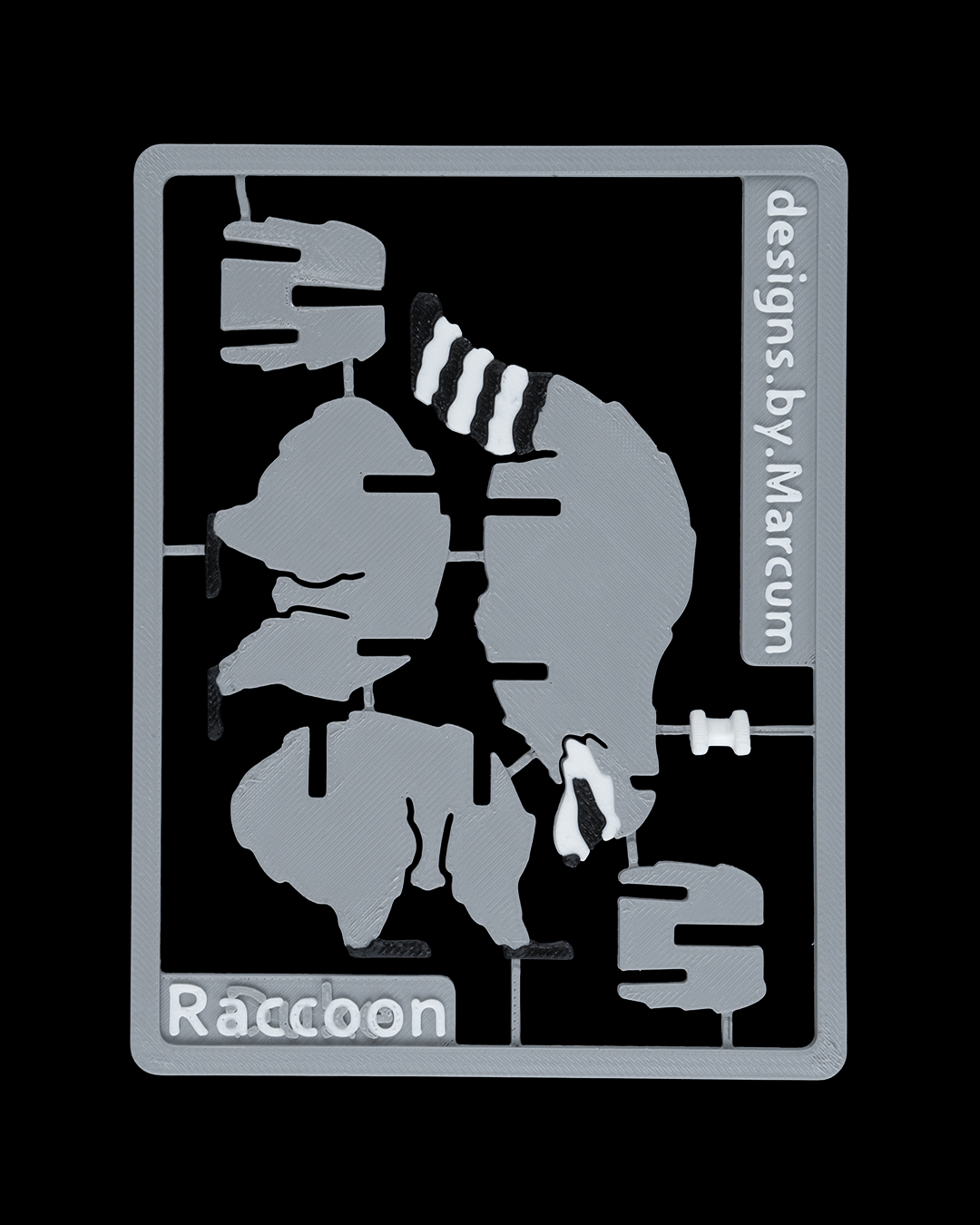 Racoon Card Kit