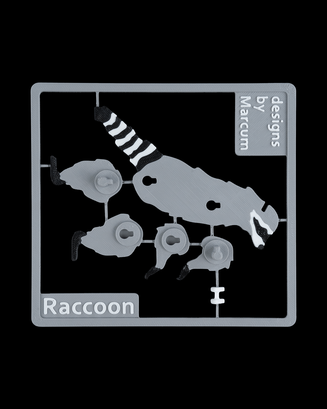 Racoon Card Kit