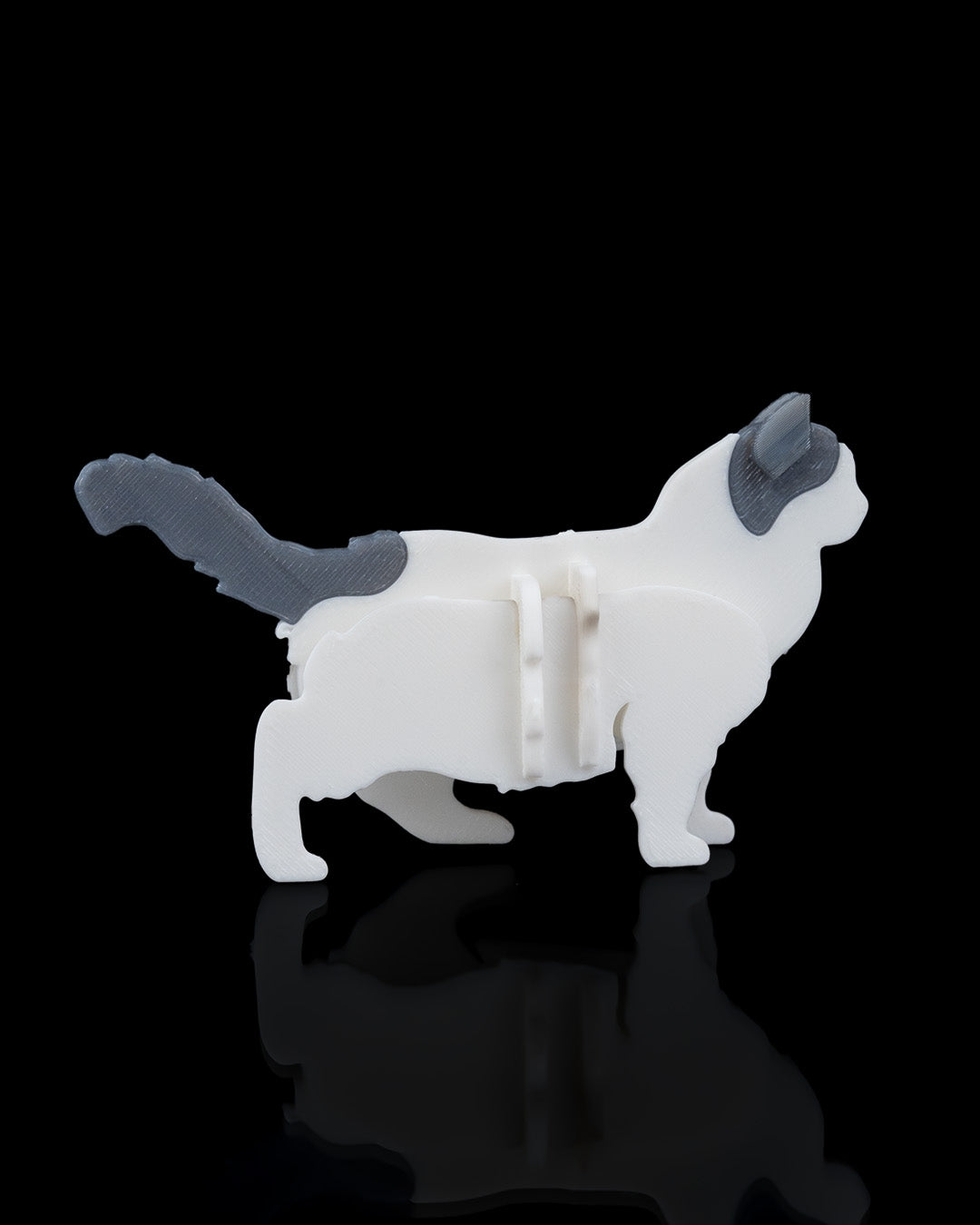 Ragdoll Cat Card Kit